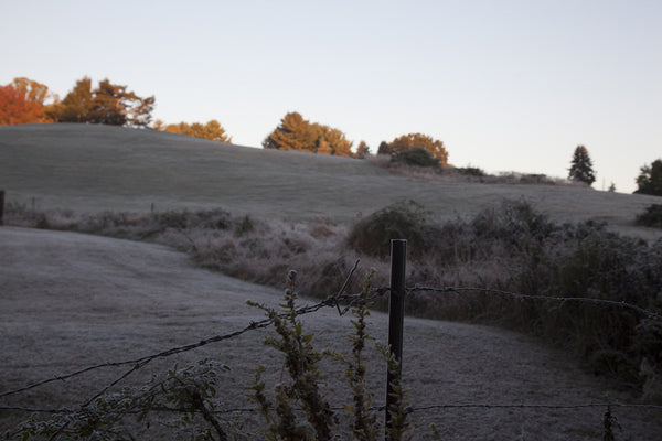 Joséphine Douet, The Secret Sits, Frozen Hill