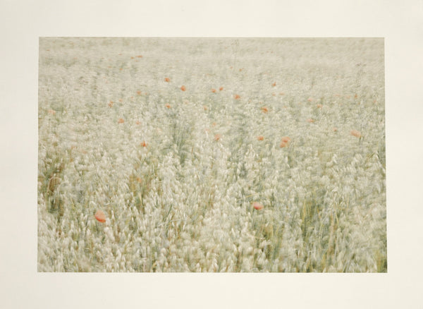 Jenny Lexander Bonheur