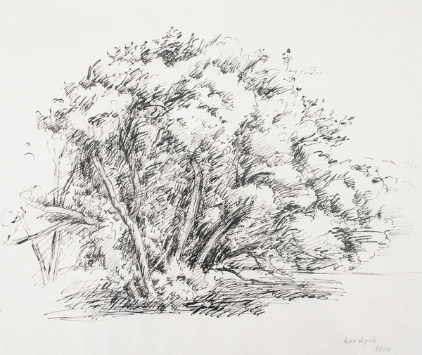 Jean Leyris