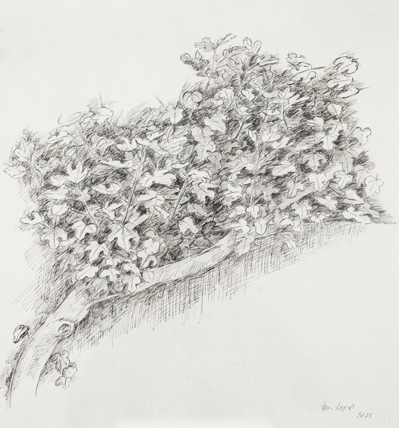 Jean Leyris