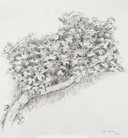 Jean Leyris