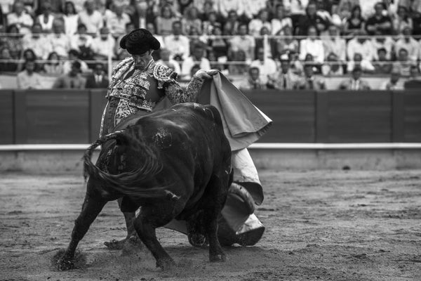 José Tomas, Caleserina, Barcelone