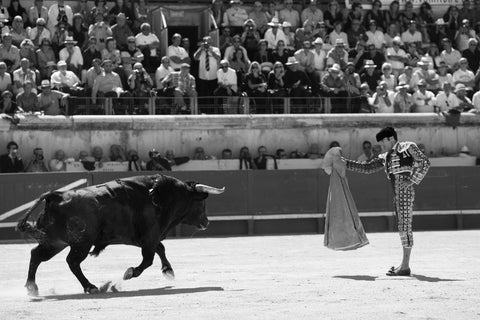 José Tomas, Nîmes (1/3)