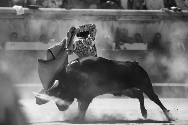 José Tomas, Caleserina, Nîmes