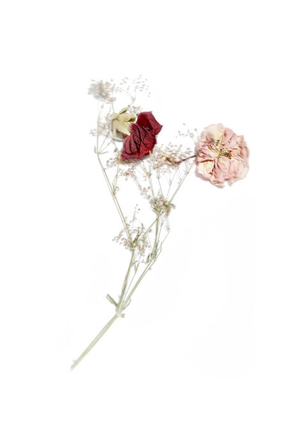 « Les Fleurs avec amour » Jenny Lexander