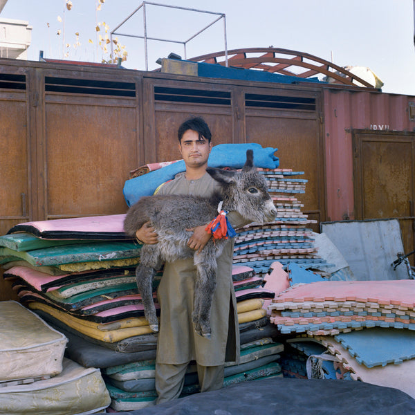 Johanna-Maria Fritz, Pipi, the little donkey, Kabul, Afghanistan, 2016