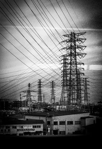 Meg Hewitt, Fukushima power lines